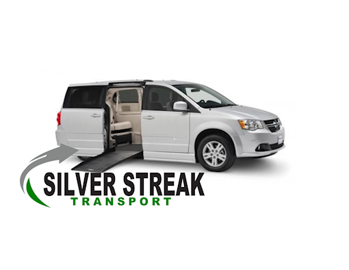 Silver Streak Van Logo
